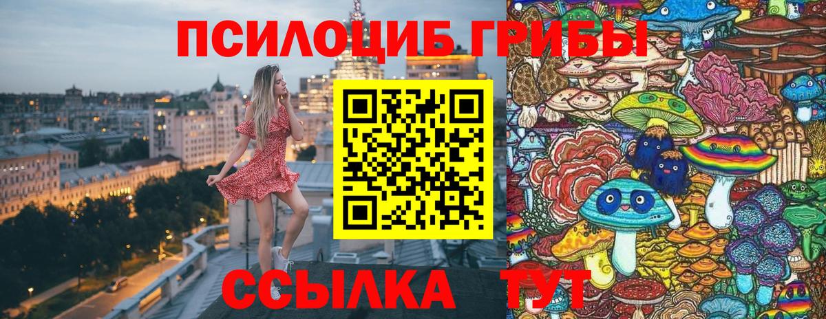 Галлюциногенные грибы Psilocybe Кашира