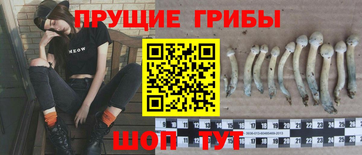 Кашира  Галлюциногенные грибы ЛСД  Вход с VPN 